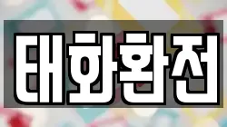 태화환전