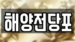 해양전당포