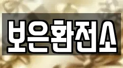 보은환전소