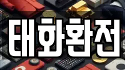 태화환전