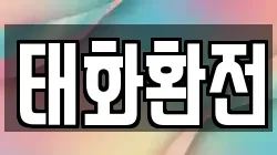 태화환전
