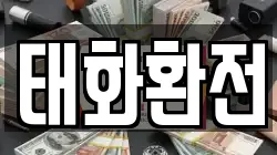 태화환전