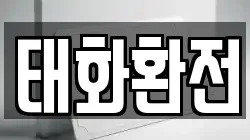 태화환전