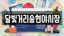 달빛거리송현야시장