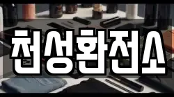 천성환전소