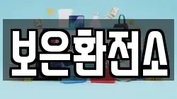 보은환전소