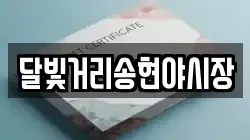 달빛거리송현야시장