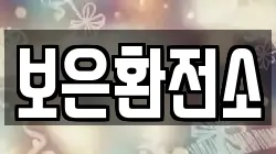 보은환전소