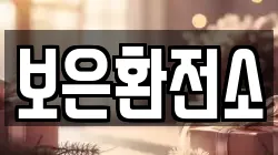 보은환전소