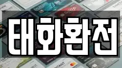 태화환전
