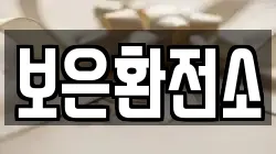 보은환전소