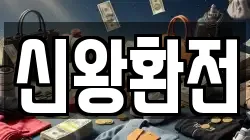 신왕환전