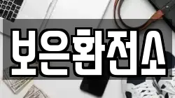 보은환전소
