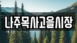 전남 나주시 송월동 전당포, 상품권판매, 상품권매매, 환전