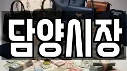 담양시장
