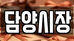 담양시장