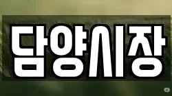 담양시장