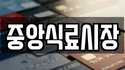 중앙식료시장