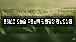 포레스트 오늘숲 목포남악 평화광장 전남도청점