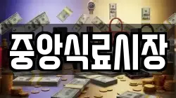 중앙식료시장