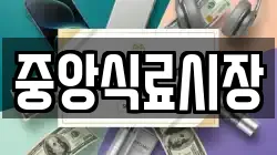 중앙식료시장