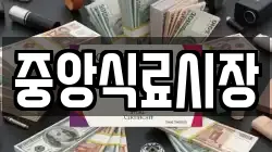 중앙식료시장