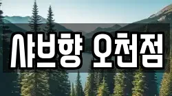 샤브향 오천점