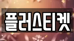 플러스티켓