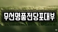 전남 여수시 주삼동 전당포, 상품권판매, 상품권매매, 환전