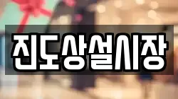 진도상설시장