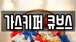 가스키퍼 큐브스