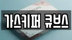 가스키퍼 큐브스