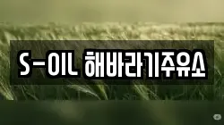 S-OIL 해바라기주유소