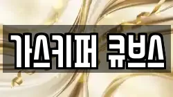 가스키퍼 큐브스