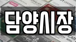 담양시장