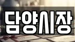 담양시장