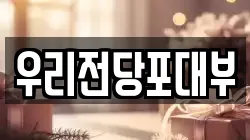 우리전당포대부