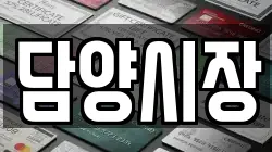 담양시장