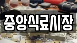 중앙식료시장