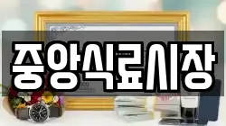 중앙식료시장