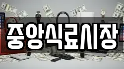 중앙식료시장