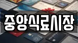 중앙식료시장