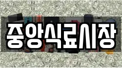 중앙식료시장