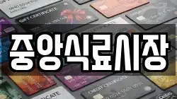 중앙식료시장
