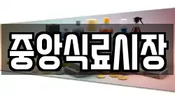 중앙식료시장