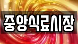 중앙식료시장