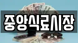 중앙식료시장