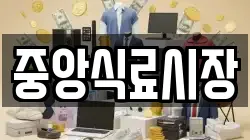 중앙식료시장