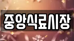 중앙식료시장
