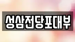 성삼전당포대부